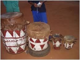 Bapedi traditional healers