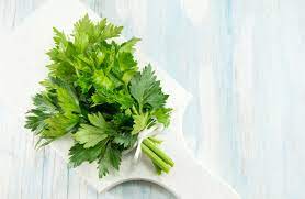 Herbs for breast cancer