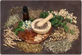 Herbs for love spells