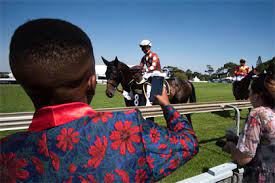 Horse betting in south Africa
