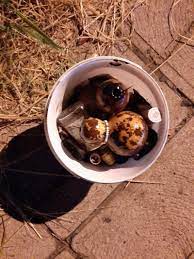 Symptoms of witchcraft spells