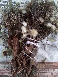 Traditional witchcraft spells