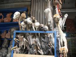 Witchcraft spells and curses