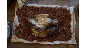 Witchcraft spells for love