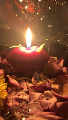 Love spells for attraction with crystals in the woods