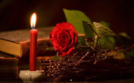 Love spells with roses