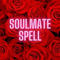 Ancient love spells with honey at dawn